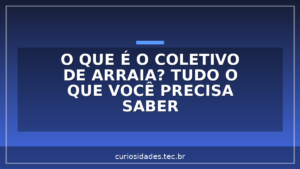 O que é o coletivo de Arraia? Tudo o que você precisa saber