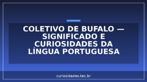 Coletivo de Bufalo — significado e curiosidades da língua portuguesa
