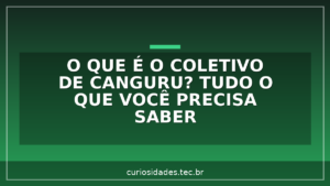 O que é o coletivo de Canguru? Tudo o que você precisa saber