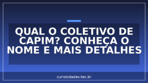 Qual o coletivo de Capim? Conheça o nome e mais detalhes