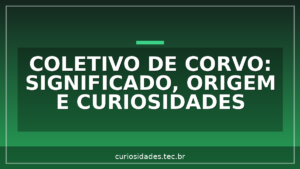Coletivo de Corvo: significado, origem e curiosidades